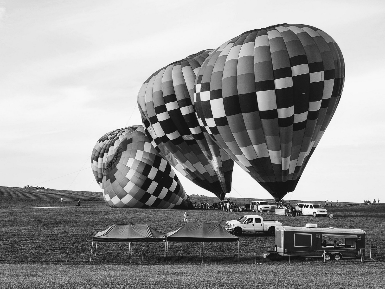 Black and White Balloons
